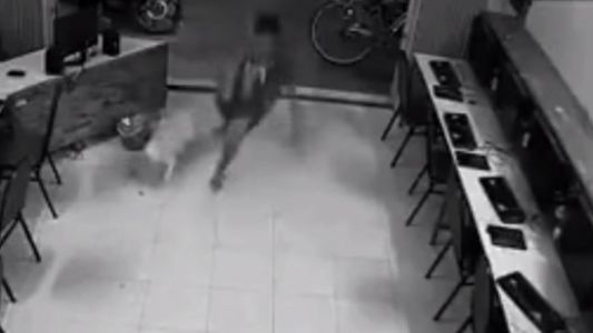 Video: joven intentó pegarle a un perro y el golpe lo recibió él