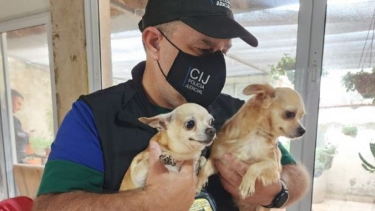Clausuraron criadero ilegal de perros en Monte Castro
