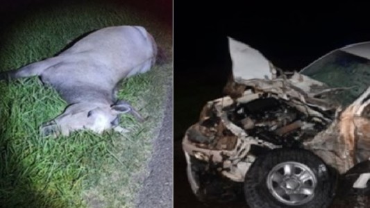 Chocó con su camioneta a un caballo en la ruta: un camión intentó esquivarlo y volcó