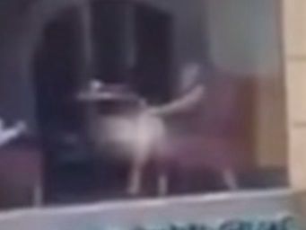 Escándalo en Beirut: filmaron a una mujer mientras se masturbaba en un bar