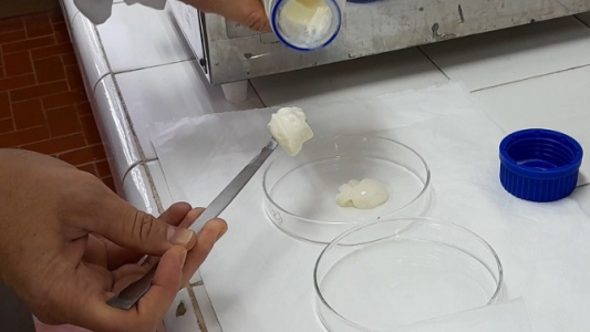 "Gel de leche": desarrollan en Santa Fe un nuevo producto lácteo fortificado con calcio
