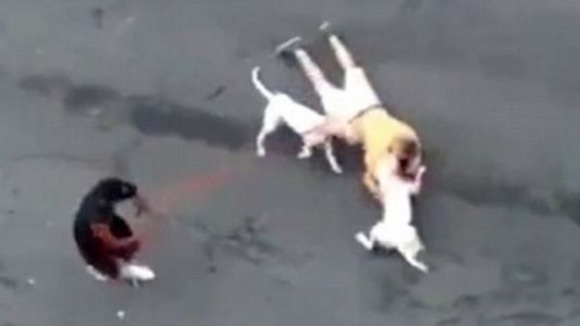 Video impactante: feroz ataque de dos perros pitbull a un hombre