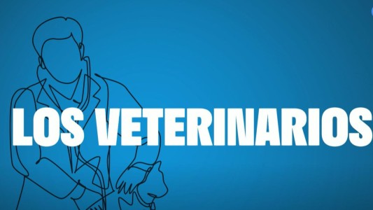 Profesiones Argentinas: veterinarios, los guardianes de nuestras mascotas