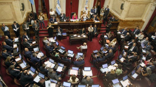 Senado: hay acuerdo y mañana se sancionaría la polémica Ley de Alcohol Cero junto a otros proyectos