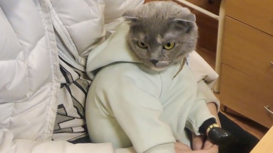 Gato, bebé, narco, mula: todo le salió mal a la vendedora de drogas - #FlashChat