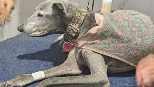 Video: Así cuidan los policías a la teniente primero "Flaca"