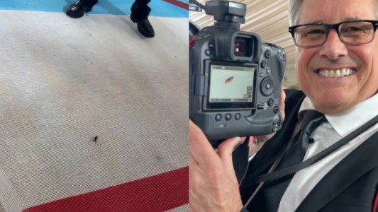 Met Gala 2023: apareció una cucaracha en plena alfombra roja
