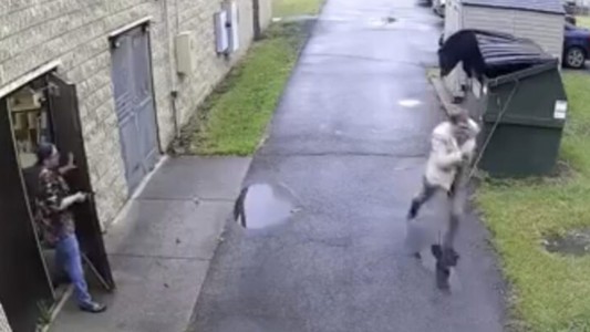 Susto y sorpresa mañanera: la reacción de un director de escuela al ver un oso - #Flashchat