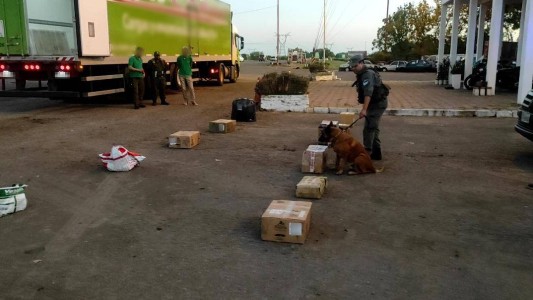 Fueron al correo a retirar una encomienda con 45 kilos de droga: quedaron detenidos