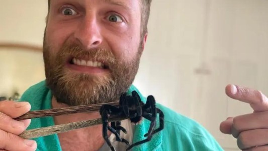 Volvió de vacaciones con un extraño "souvenir": una tarántula en la valija - #FlashChat