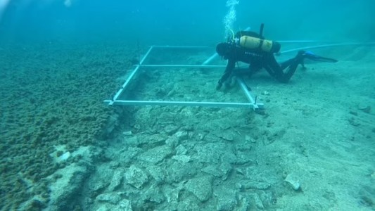 Hallaron en el fondo del mar un ruta construida hace 7.000 años
