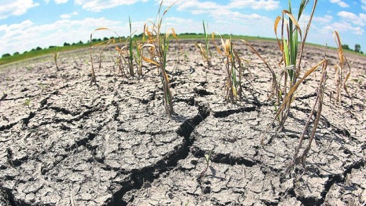 A raíz de la sequía, el agua potable tiene sabor más salado en Montevideo por exceso de sodio