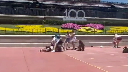 Buscaban un recuerdo de Disney y se llevaron una golpiza inolvidable - #FlashChat