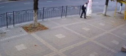 Video: lo salvó el aburrimiento