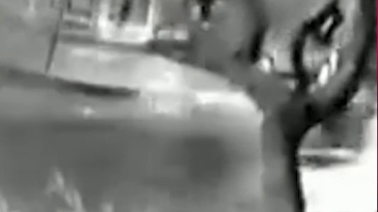 Se salvó de milagro: un árbol cayó debido al temporal y casi aplasta a un motoquero