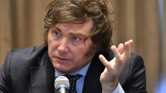 Milei: "En segunda vuelta le ganamos a todos"