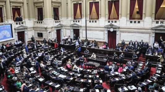 Diputados aprobó el régimen de seguridad del paciente y la regulación del acompañamiento terapéutico