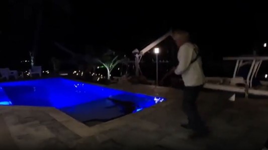 Impactante: encontraron un cocodrilo en la pileta de su casa