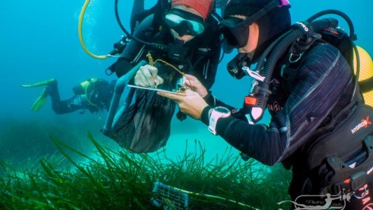 Lanzaron las primeras Olimpíadas de Ciencia del Mar destinadas a estudiantes secundarios