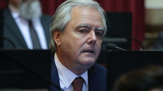 Pinedo sobre un eventual debate del aborto en el Senado: "La mayoría votaría en contra"