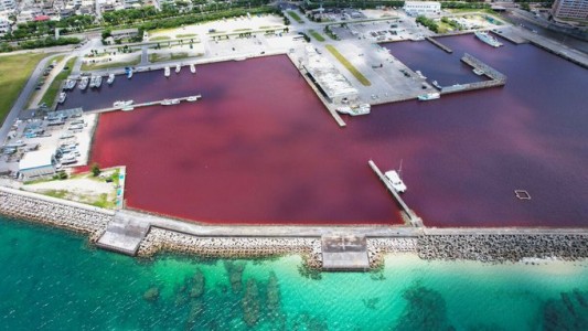 Agua roja en el océano se debió a la fuga de refrigerante en una cervecería