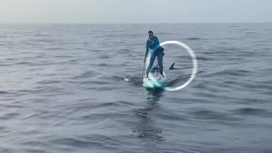 Remaba por un motivo solidario y, sin saberlo, la acechó un tiburón - #FlashChat