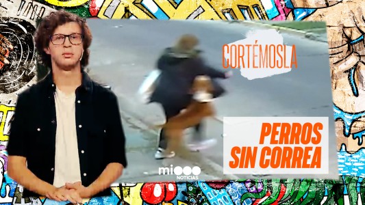 Cortémosla: El Trinche está harto de los perros sin correa