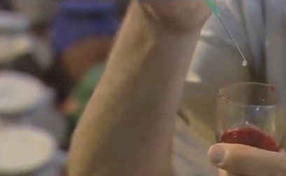 Video: este es el efecto que genera el veneno de cobra en la sangre