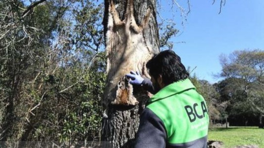Allanaron un campo por presunta caza ilegal de un puma autóctono
