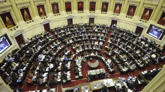 Diputados destacaron los 40 años ininterrumpidos de democracia en Argentina