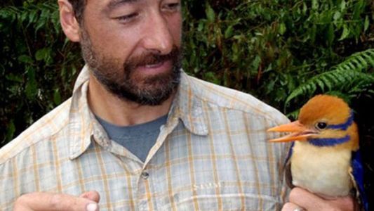 Halló una especie de ave dada por extinguida, la mató y desató una polémica global