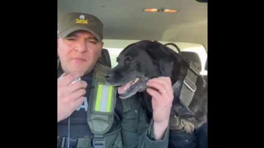 Video: la emotiva despedida de Peki, la perra que se retiró de Gendarmería tras 10 años