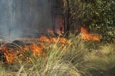Un aparente ritual religioso generó un incendio en el parque municipal de Necochea