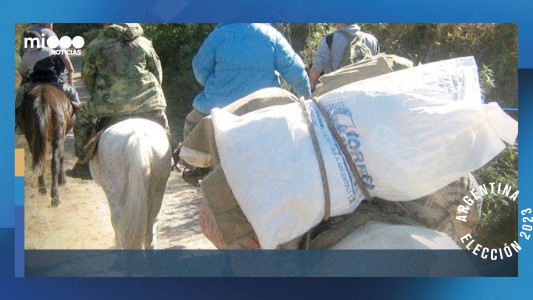 Desde mulas hasta aviones para que las urnas lleguen desde La Quiaca hasta la Antártida