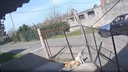 Video: atrapó un ladrón, lo ató a su auto y lo arrastró por la calle
