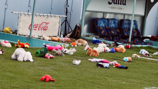 Lluvia de peluches: el gran gesto solidario del Club Central Norte