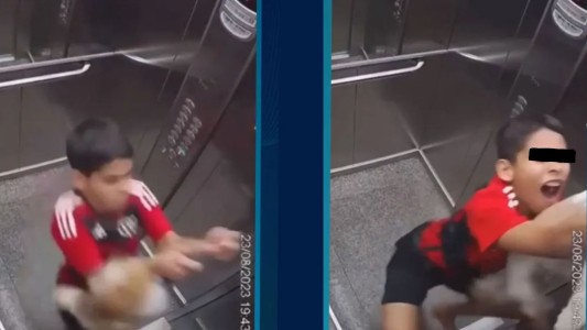 Video: la gran reacción de un niño de 11 años para salvar a su perra