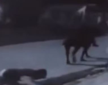 "Cabachorros": delincuentes a caballo le roban a un hombre la billetera y el celular