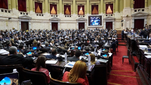 Octava audiencia en Diputados sobre la despenalización del aborto