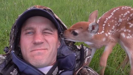 #EsViral Cervatillo se niega a dejar al hombre que le salvó la vida