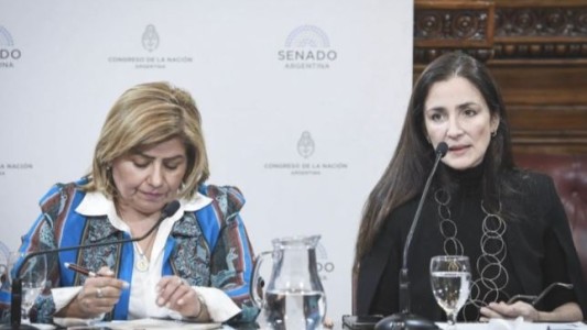 Presentan un preocupante informe sobre explotación sexual infantil en la Argentina