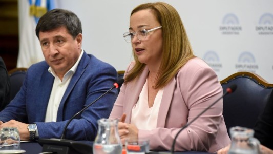 Cecilia Moreau: "Las mejores leyes sociales se construyen desde afuera hacia adentro"