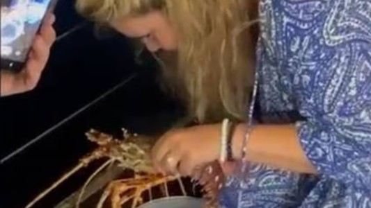 Como "Liberen a Willy" pero con una langosta - #FlashChat