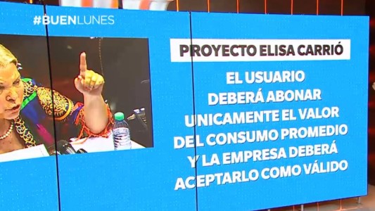 Pulseada en el Senado por las tarifas: los proyectos alternativos