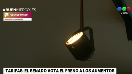 Tarifas: el Senado vota el freno a los aumentos