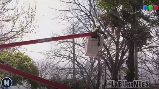 Laburantes: Jonathan, un miembro de la cuadrilla de poda de Vicente López