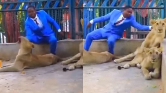 Un pastor se metió en una jaula con leones para demostrar que "nada puede pasarle a un hombre de Dios"
