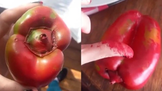 Le vendieron un morrón verde pintado con aerosol rojo