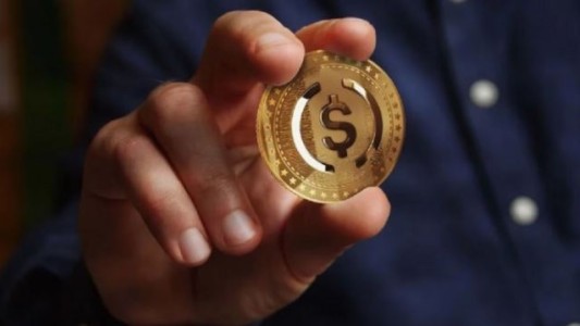 Cómo es la idea del Peso Argentino Digital propuesta por Massa