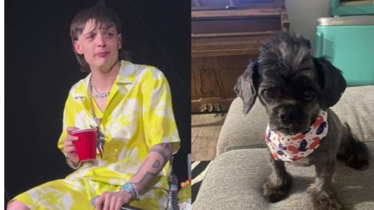 Le cortaron el pelo a su mascota para que se parezca a Peso Pluma: así quedó - #FlashChat